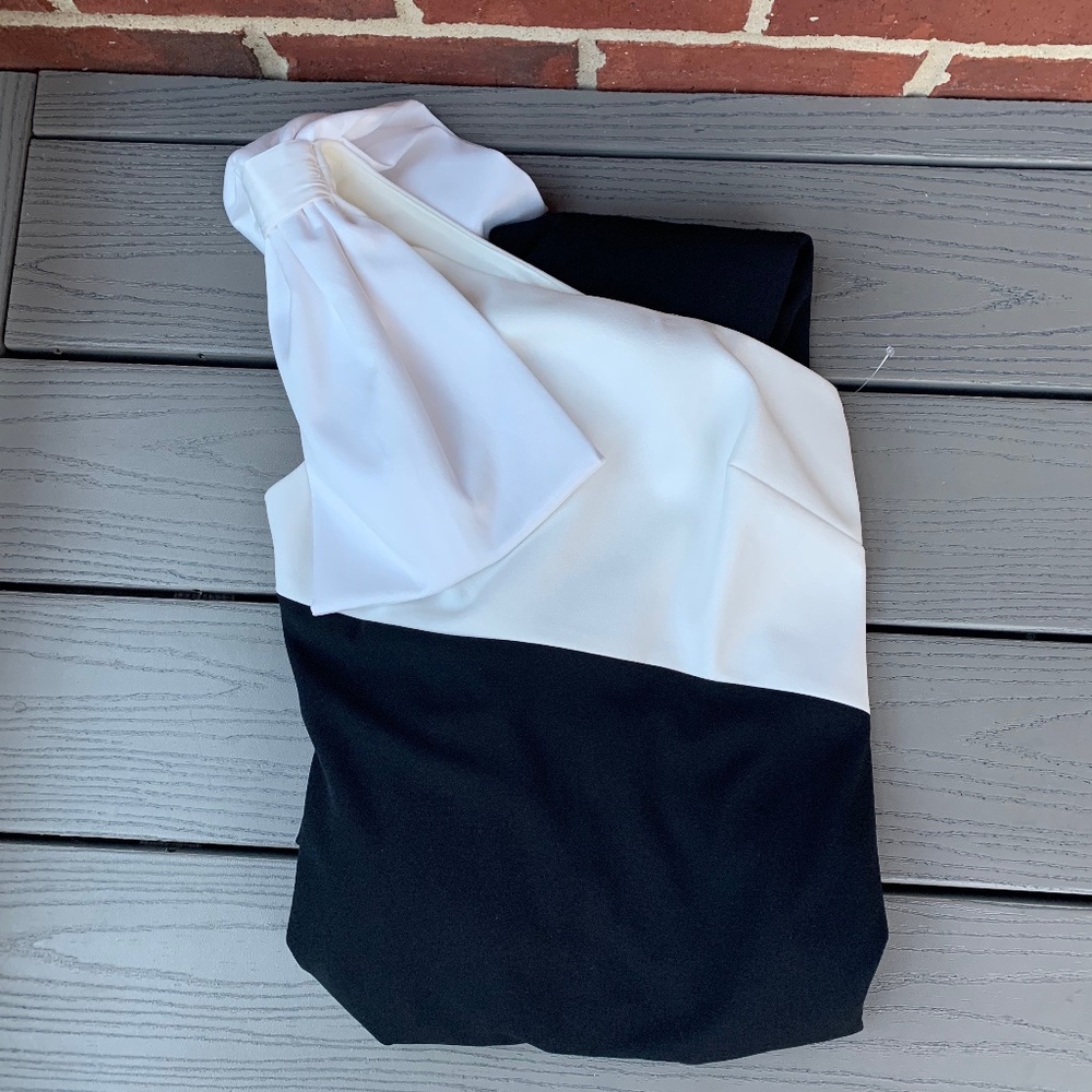 Eliza J Colorblock One Shoulder Gown in Black and White